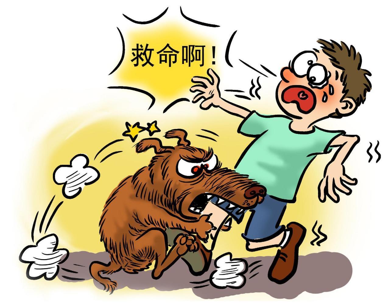 6歲男童被狗咬傷身亡誰(shuí)之責(zé)
