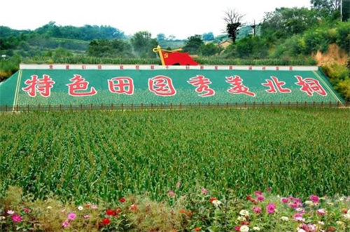 處處有景產業(yè)興旺五星塑北桐