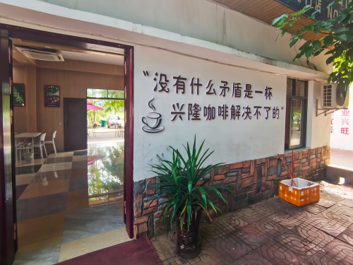 咖啡屋“調”出鄉(xiāng)村治理“好味道”