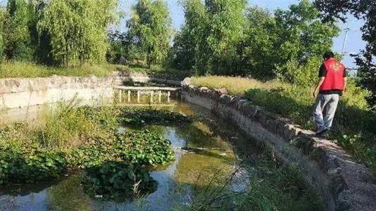 濟源邵原鎮(zhèn)開展河小青巡河凈灘活動