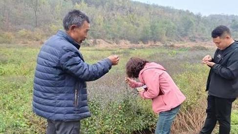 濟源下冶鎮(zhèn)：優(yōu)化營商環(huán)境 助力鄉(xiāng)村振興