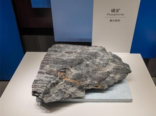 云南澄江法學(xué)會(huì)為打擊盜采磷礦犯罪獻(xiàn)計(jì)獻(xiàn)策