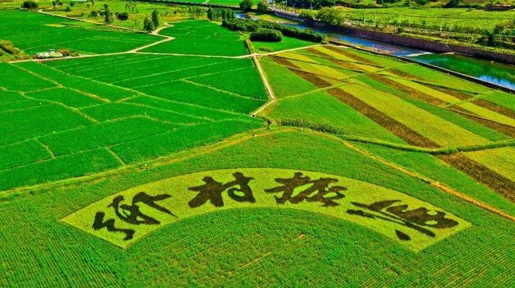 坡耕地綜合治理助力鄉(xiāng)村振興