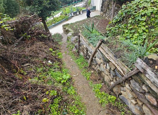 野豬下山傷人毀物為哪般