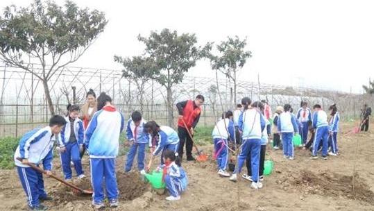 漯河第二實驗小學黨員樹先鋒植樹添新綠